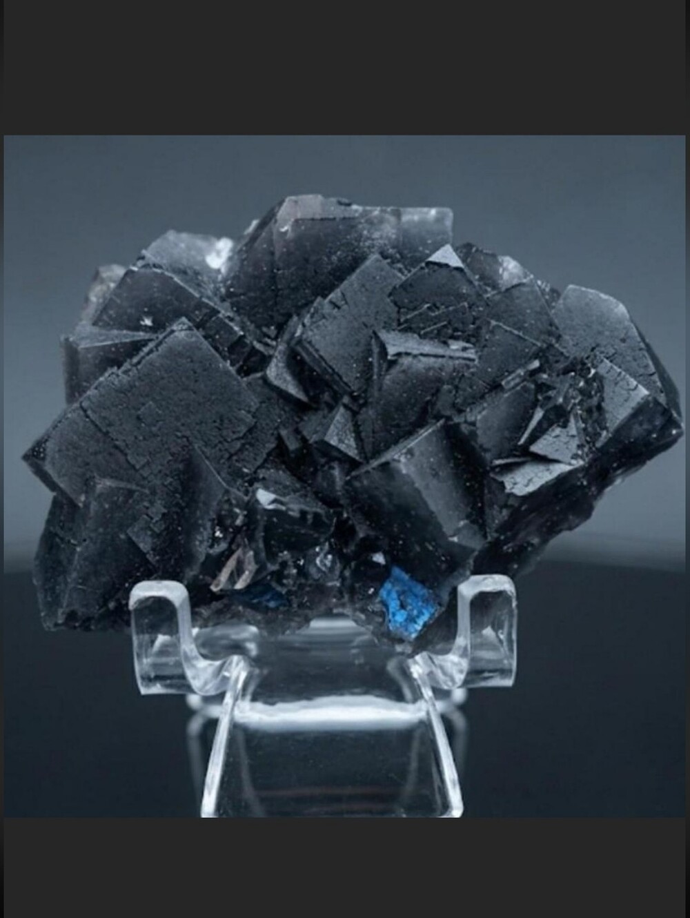 Rare "Black Rose" Fluorite Raw Cubic Specimen STRONG Red UV Reaction New Mineral